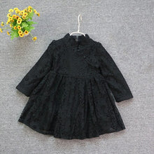 Load image into Gallery viewer, Chinese Style Winter Warm Embroidery Girl Dress Children Girls's Clothing Ball Gown Girls Clothes Party Princess Dress 2-8 yrs